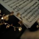 Фото курса #2