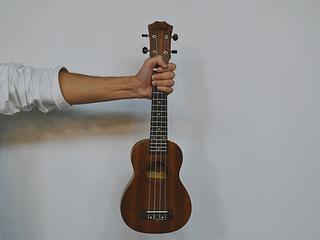 Курс укулеле